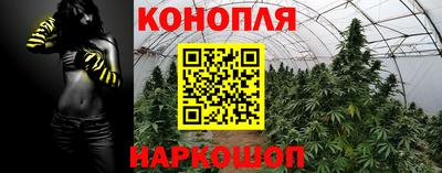 эйфоретик Пушкино