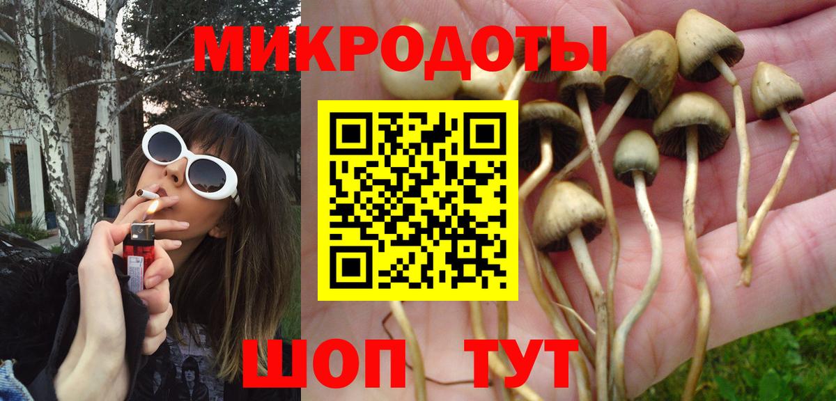 Барабинск  Псилоцибиновые грибы Psilocybine cubensis  Вход с VPN  Галлюциногенные грибы мухоморы 